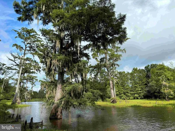 $7,755,000 | Tick Bite Road, Grifton, NC 28530