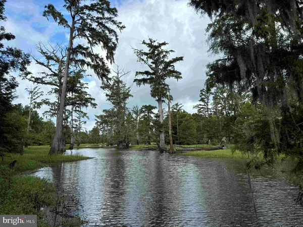 $7,755,000 | Tick Bite Road, Grifton, NC 28530