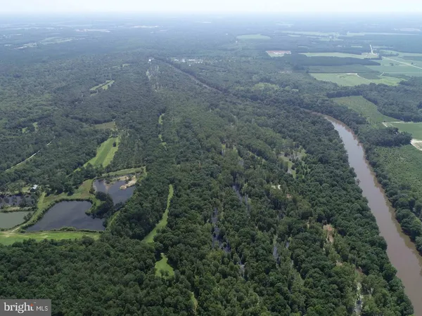 a view of a yard with a plant