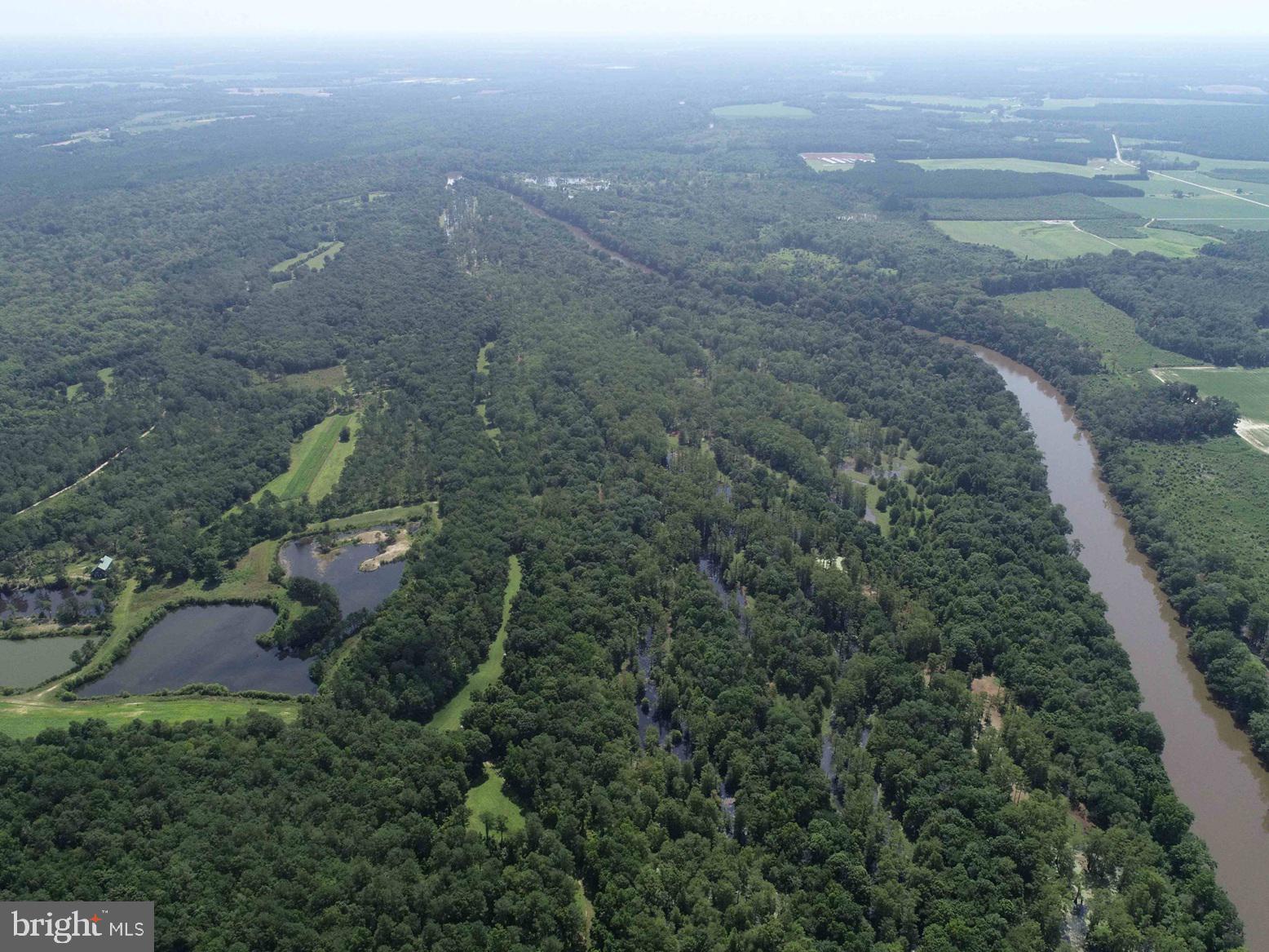 Tick Bite Road Grifton, NC 28530 - Photo 7 of 57