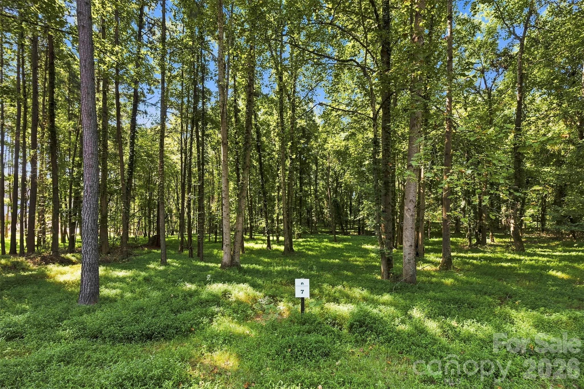 4277 Concord Road York, SC 29745 - Photo 6 of 12 Gallery Image 6