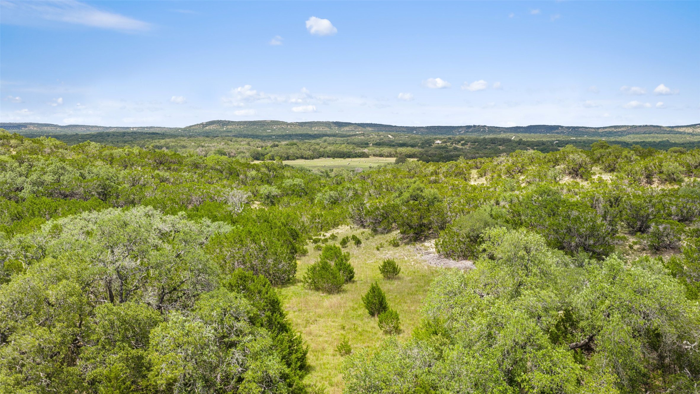 505 Red Corral Ranch Road Wimberley, TX 78676 - Photo 13 of 40 Vast, verdant landscape offering panoramic views of untouched natural beauty under an open sky.