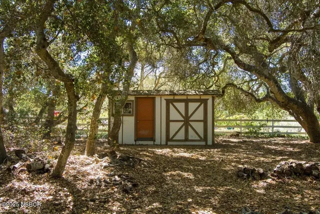 a view of a park with large trees