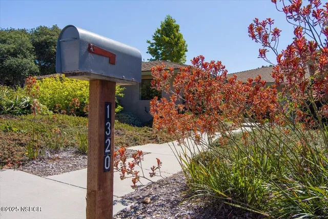 a front view of a house with a tree