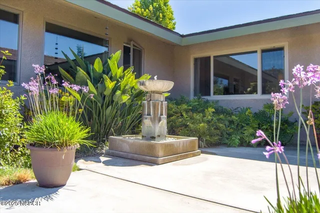 a potted plant sitting in front of a house
