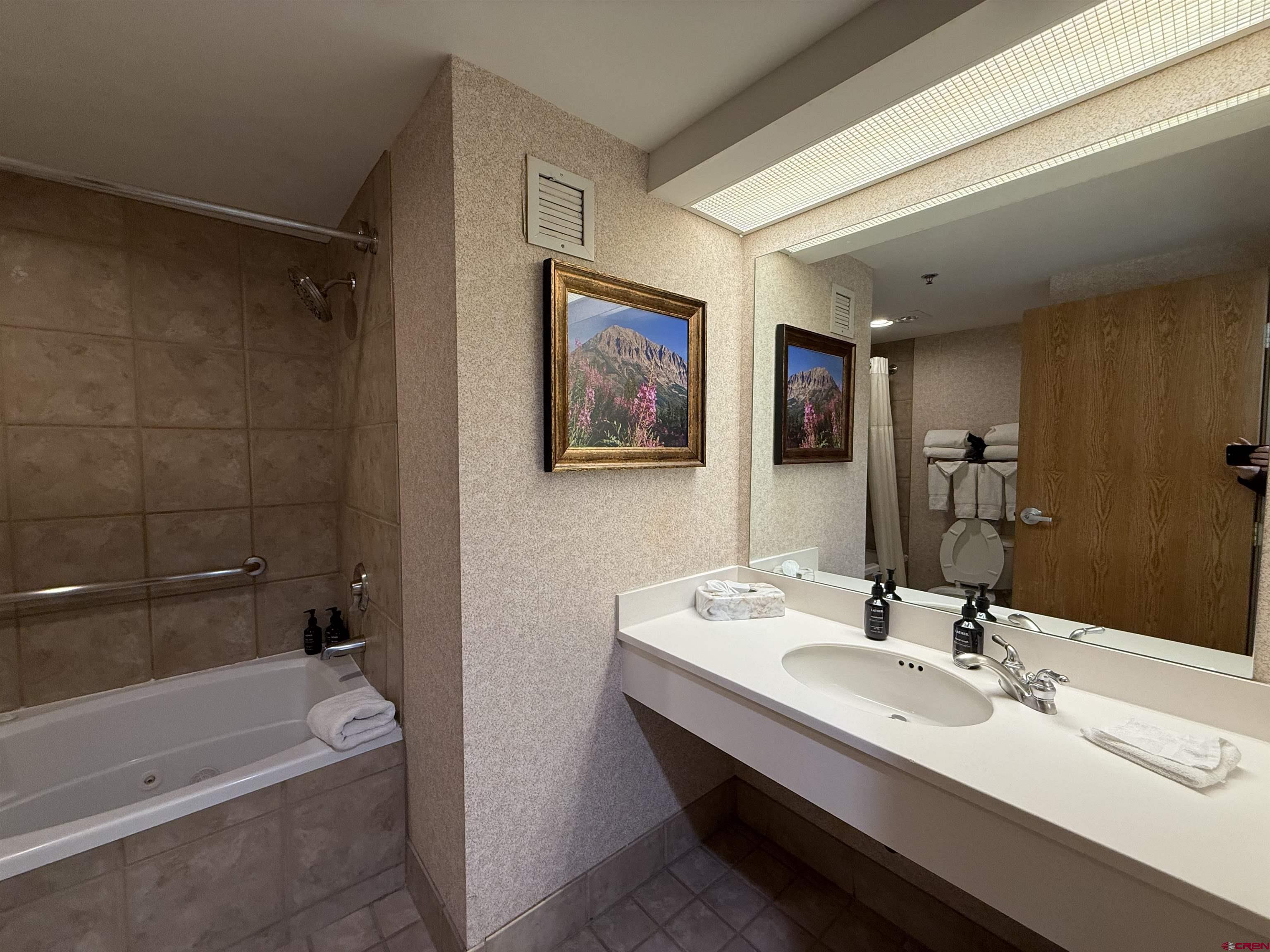 6 Emmons Road, Unit 479 & 481 Crested Butte, CO 81225 - Photo 23 of 44 Gallery Image 23