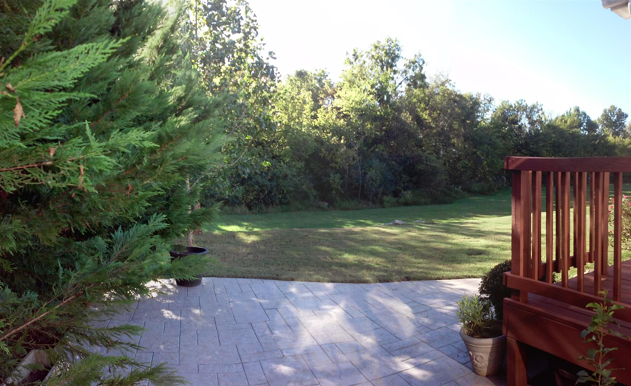 1017 Countess Lane Spring Hill, TN 37174 - Photo 23 of 28 Gallery Image 23