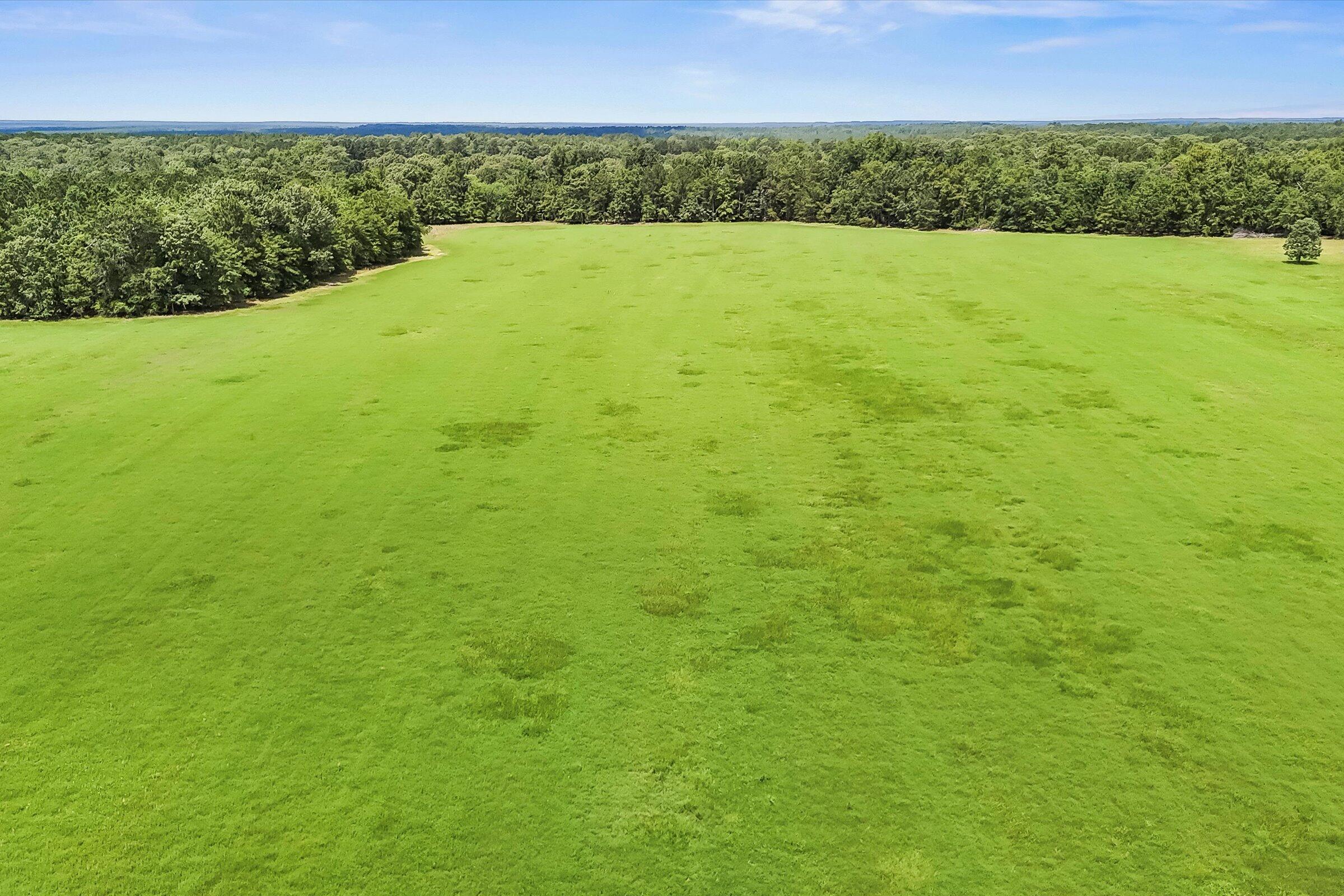 Lot 2 Mt Beulah Road Windsor, SC 29856 - Photo 12 of 15