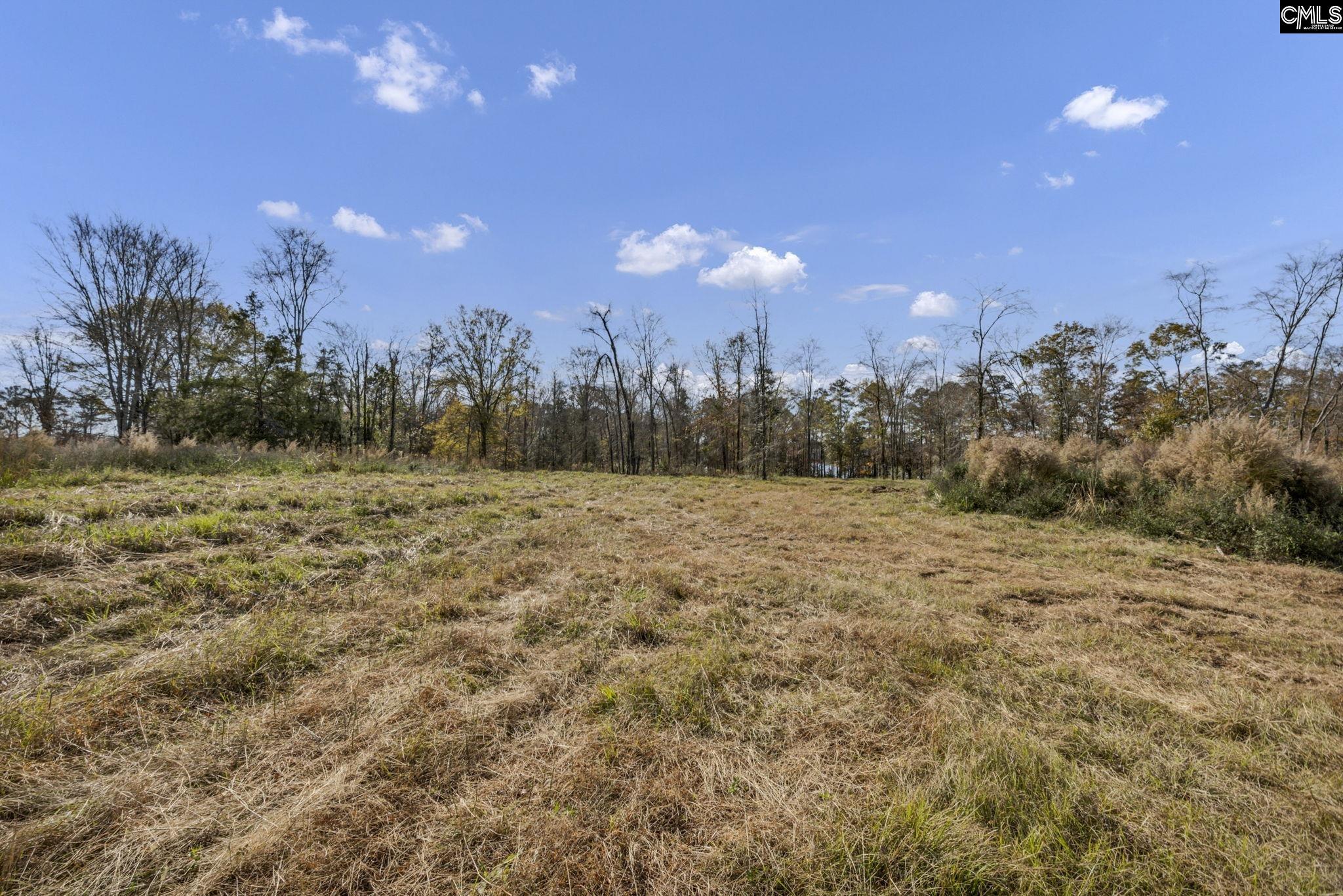 0 Bridge View Prosperity, SC 29127 - Photo 5 of 28