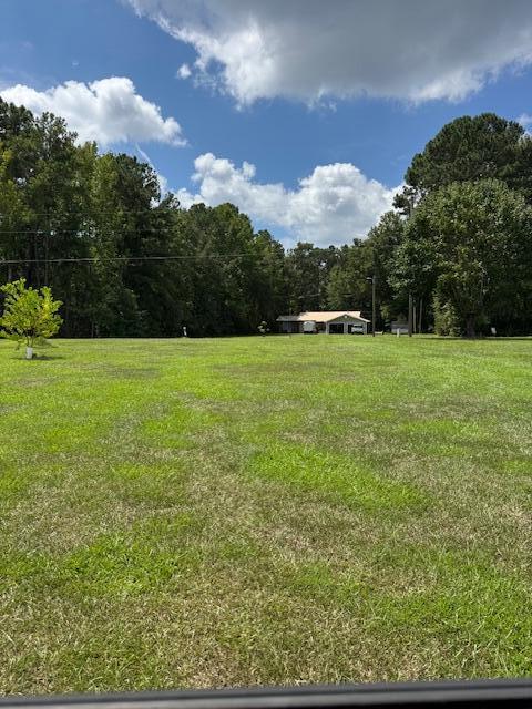 1187 Blackberry Bush Road Summerton, SC 29148 - Photo 4 of 11 IMG_6880