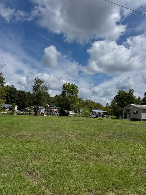 1187 Blackberry Bush Road Summerton, SC 29148 - Photo 10 of 11 IMG_6878