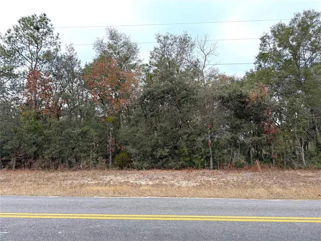 a view of a yard with a tree