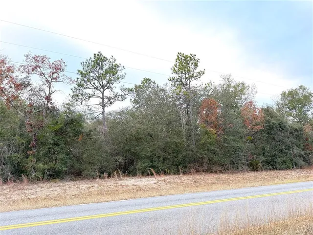 a view of a yard and mountain view