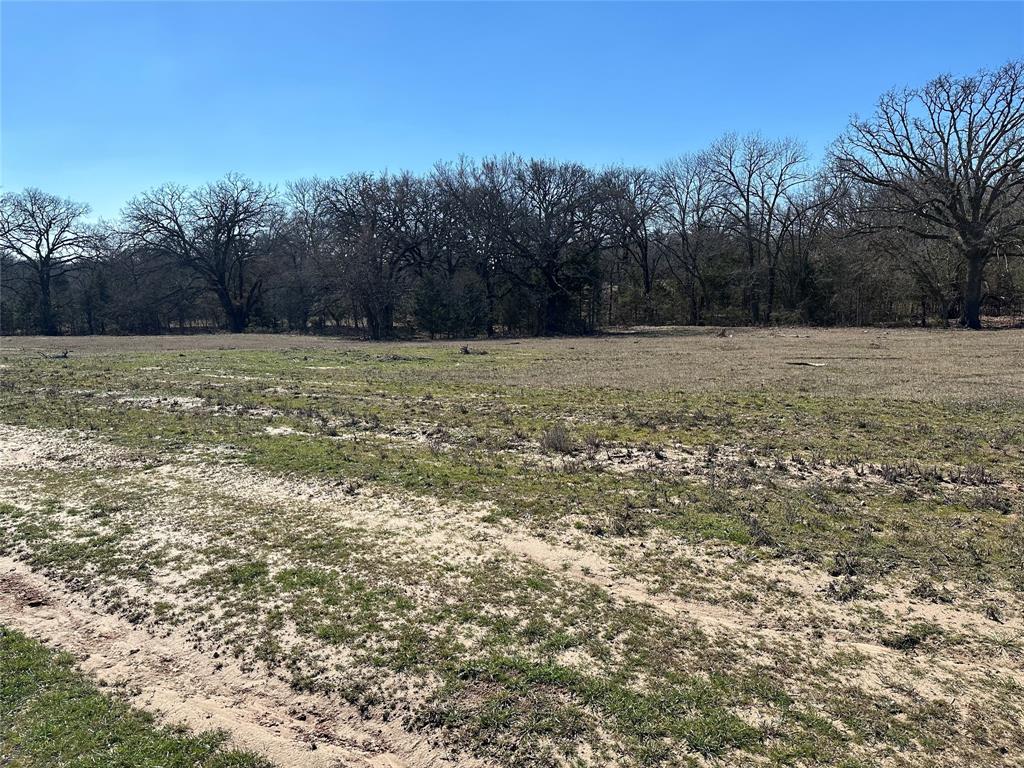 5 Co Road Greenville, TX 75402 - Photo 9 of 13 Gallery Image 9