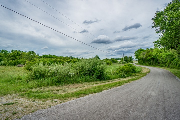 0 Finger Bluff Road Morrison, TN 37357 - Photo 4 of 6 a view of a big yard with potted plants and large tree