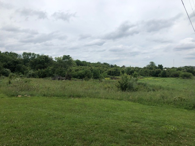 0 Finger Bluff Road Morrison, TN 37357 - Photo 5 of 6 a view of an outdoor space and a yard