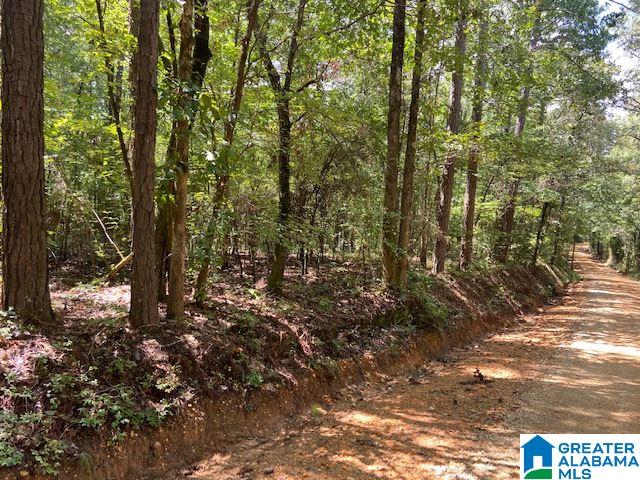 0 County Road 89, Unit 1 Clanton, AL 35046 - Photo 4 of 17