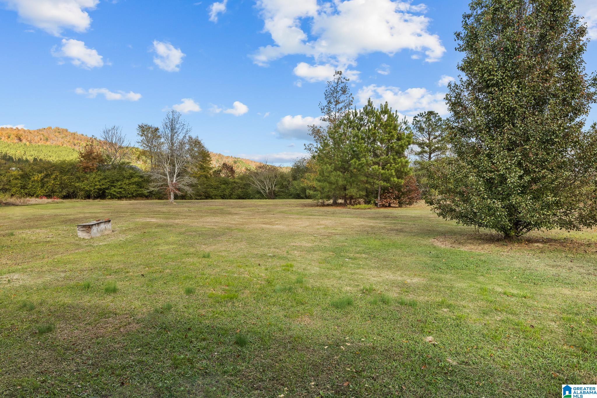 177 Armstrong Road Ashville, AL 35953 - Photo 20 of 38