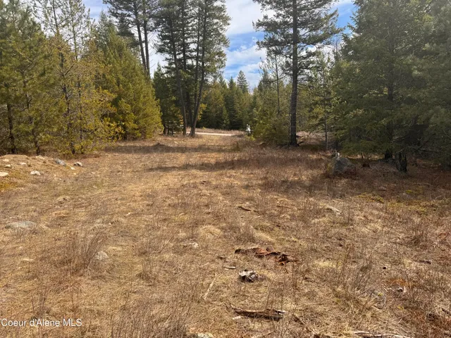 $249,000 | Nka East Lowland Drive, Athol, ID 83801