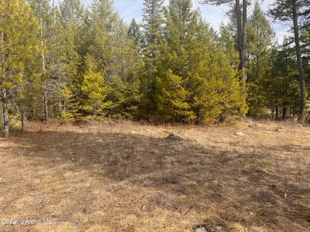 $249,000 | Nka East Lowland Drive, Athol, ID 83801