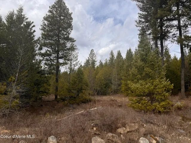 $249,000 | Nka East Lowland Drive, Athol, ID 83801