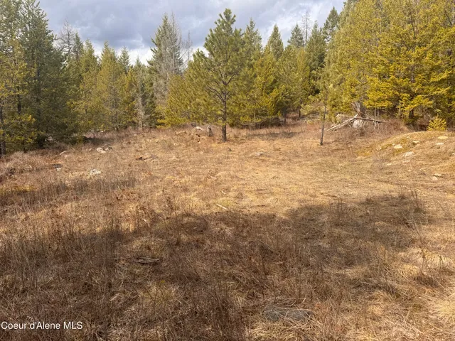 $249,000 | Nka East Lowland Drive, Athol, ID 83801