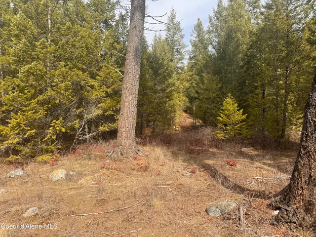 $249,000 | Nka East Lowland Drive, Athol, ID 83801