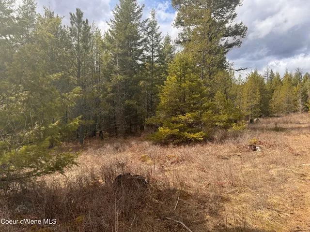 $249,000 | Nka East Lowland Drive, Athol, ID 83801