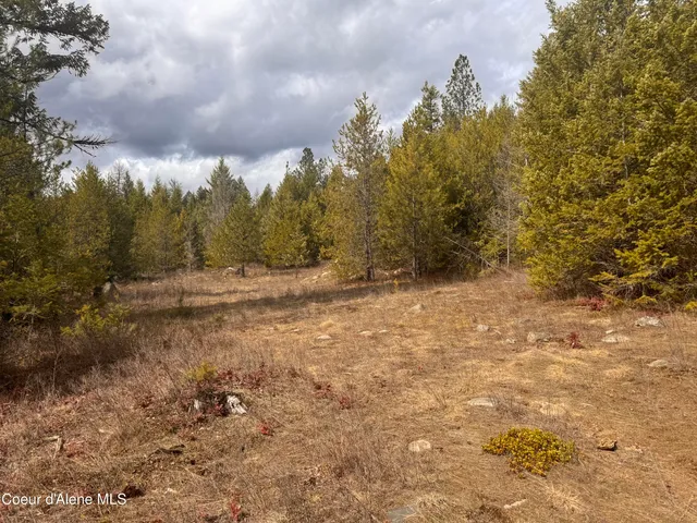 $249,000 | Nka East Lowland Drive, Athol, ID 83801