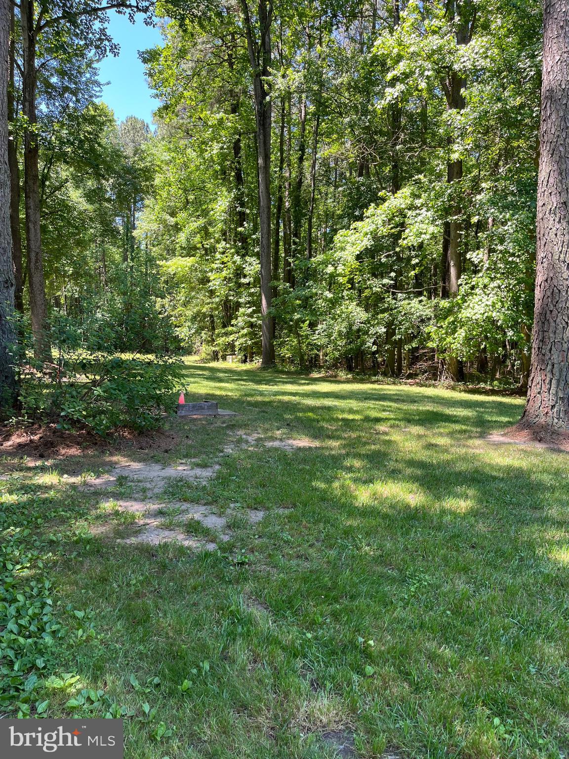 979 Barney Jenkins Road Felton, DE 19943 - Photo 8 of 14