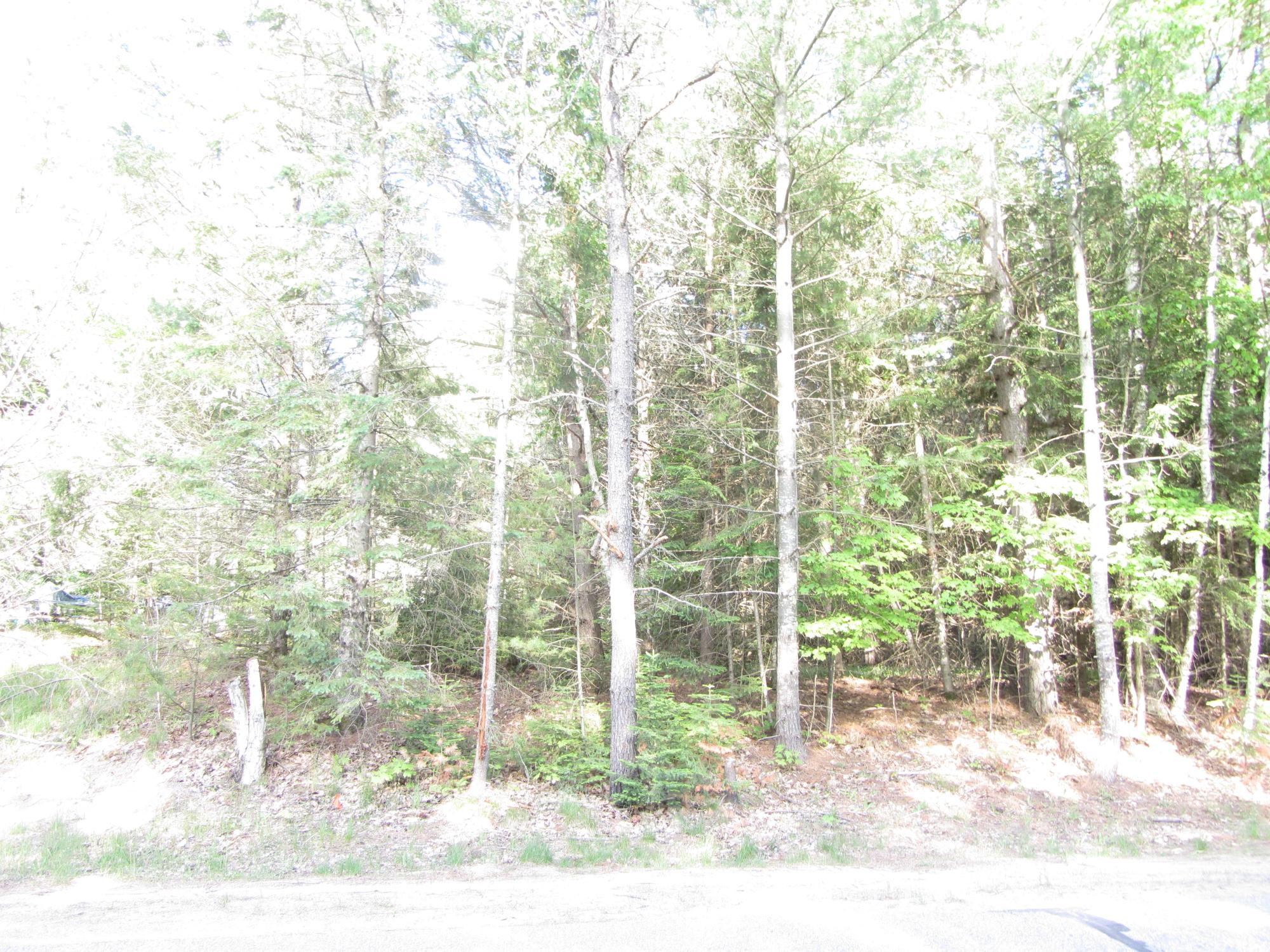 Lot 8 Church Road Conover, WI 54519 - Photo 2 of 4 Gallery Image 2