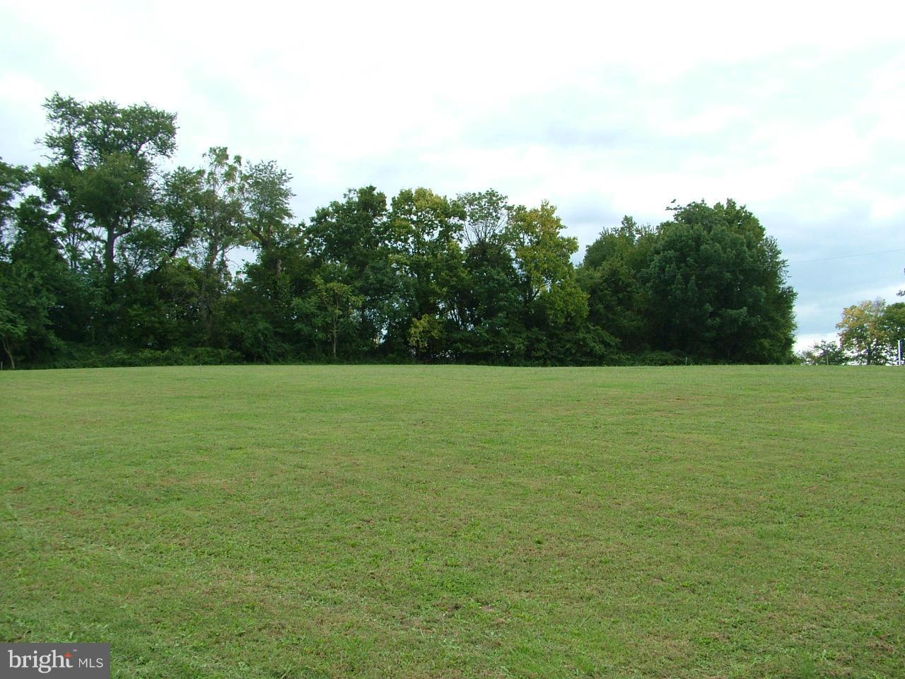 3524 Sigler Road Jefferson, MD 21755 - Photo 2 of 6 View of S portion of Lot 2 from Lot 3