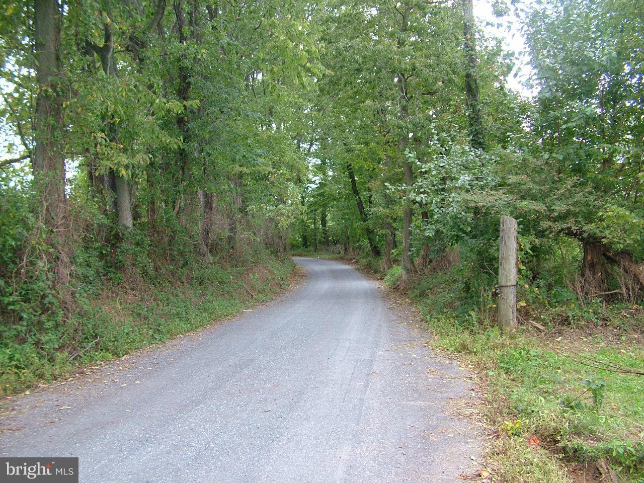 3524 Sigler Road Jefferson, MD 21755 - Photo 6 of 6 Sigler Rd west of lots, leading to creek