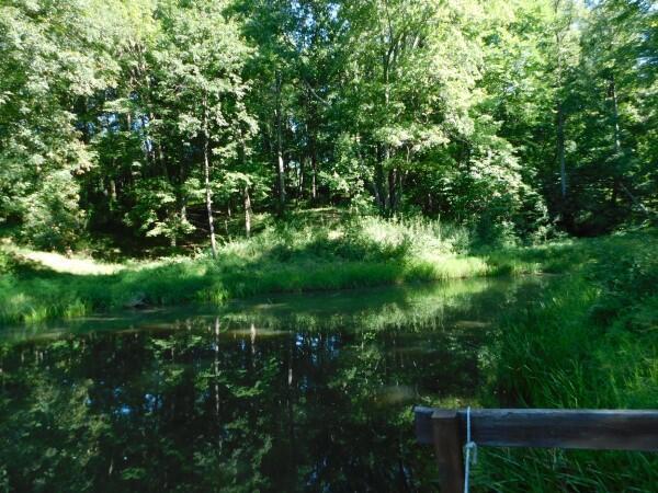 19827 Loomis Road Nelsonville, OH 45764 - Photo 23 of 31 065