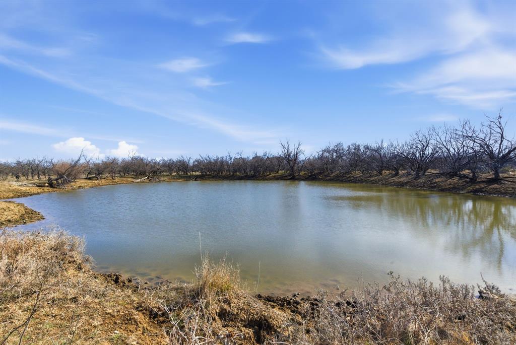 3 Fm 880 Moran, TX 76464 - Photo 9 of 9
