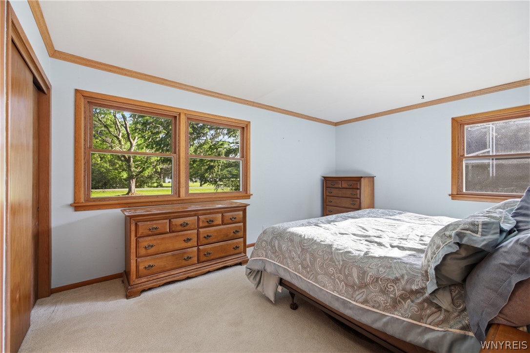 1391 Billington Road Elma, NY 14052 - Photo 24 of 46