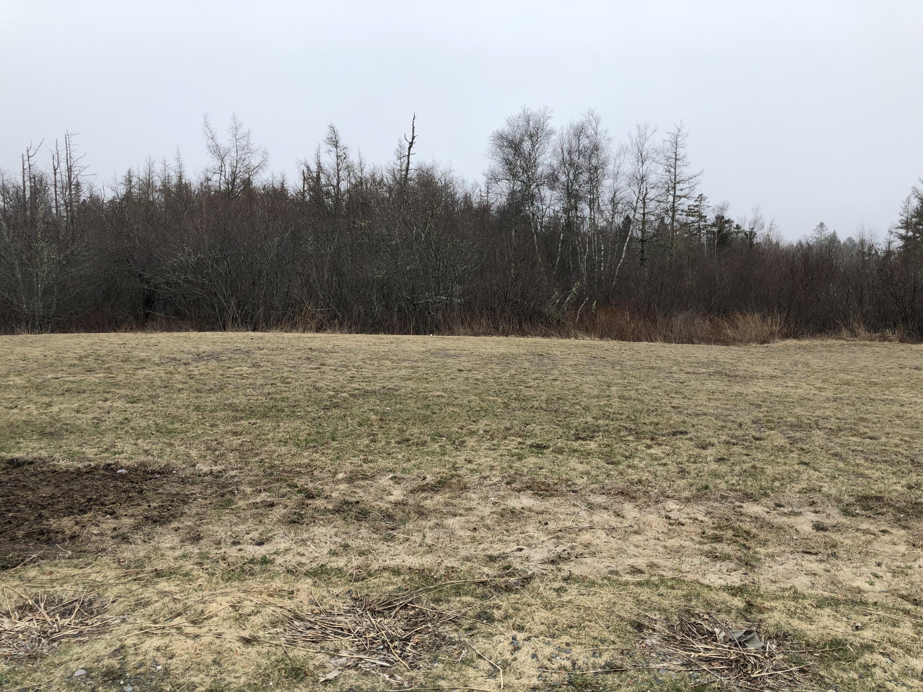 432 County Road Lubec, ME 04652 - Photo 7 of 29 5. Yard in spring