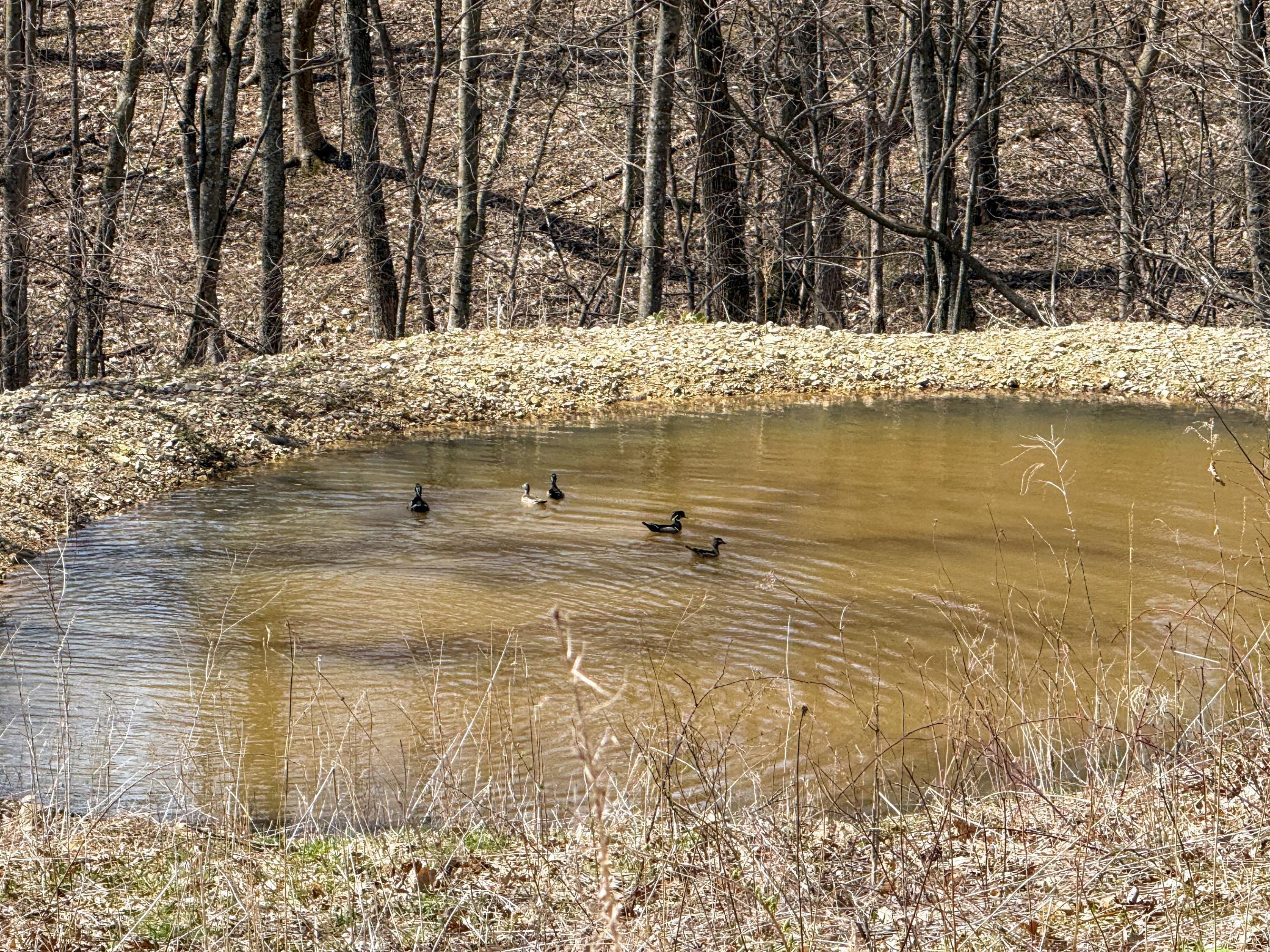 14230 Hillside Road Brownsville, MN 55919 - Photo 33 of 58