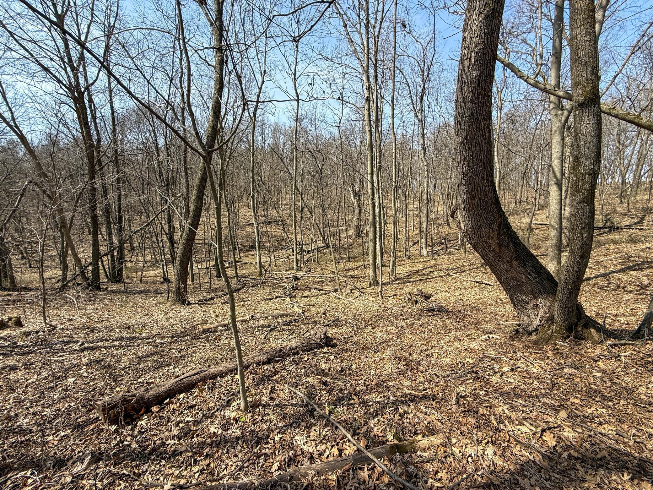 14230 Hillside Road Brownsville, MN 55919 - Photo 36 of 58