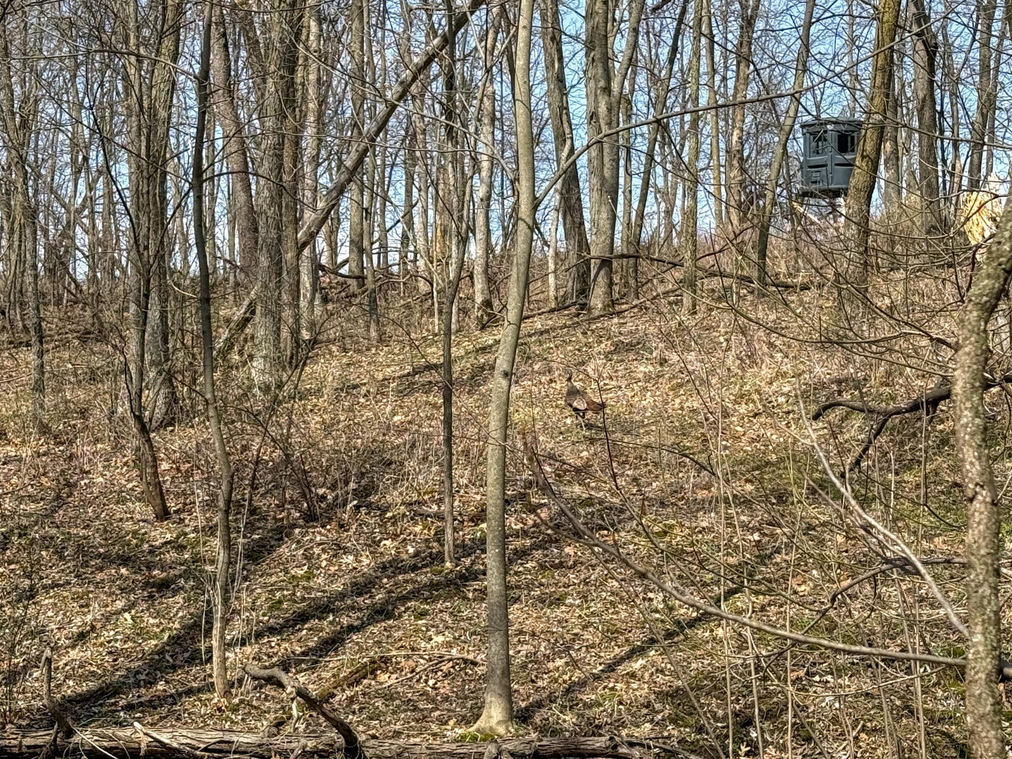 14230 Hillside Road Brownsville, MN 55919 - Photo 37 of 58