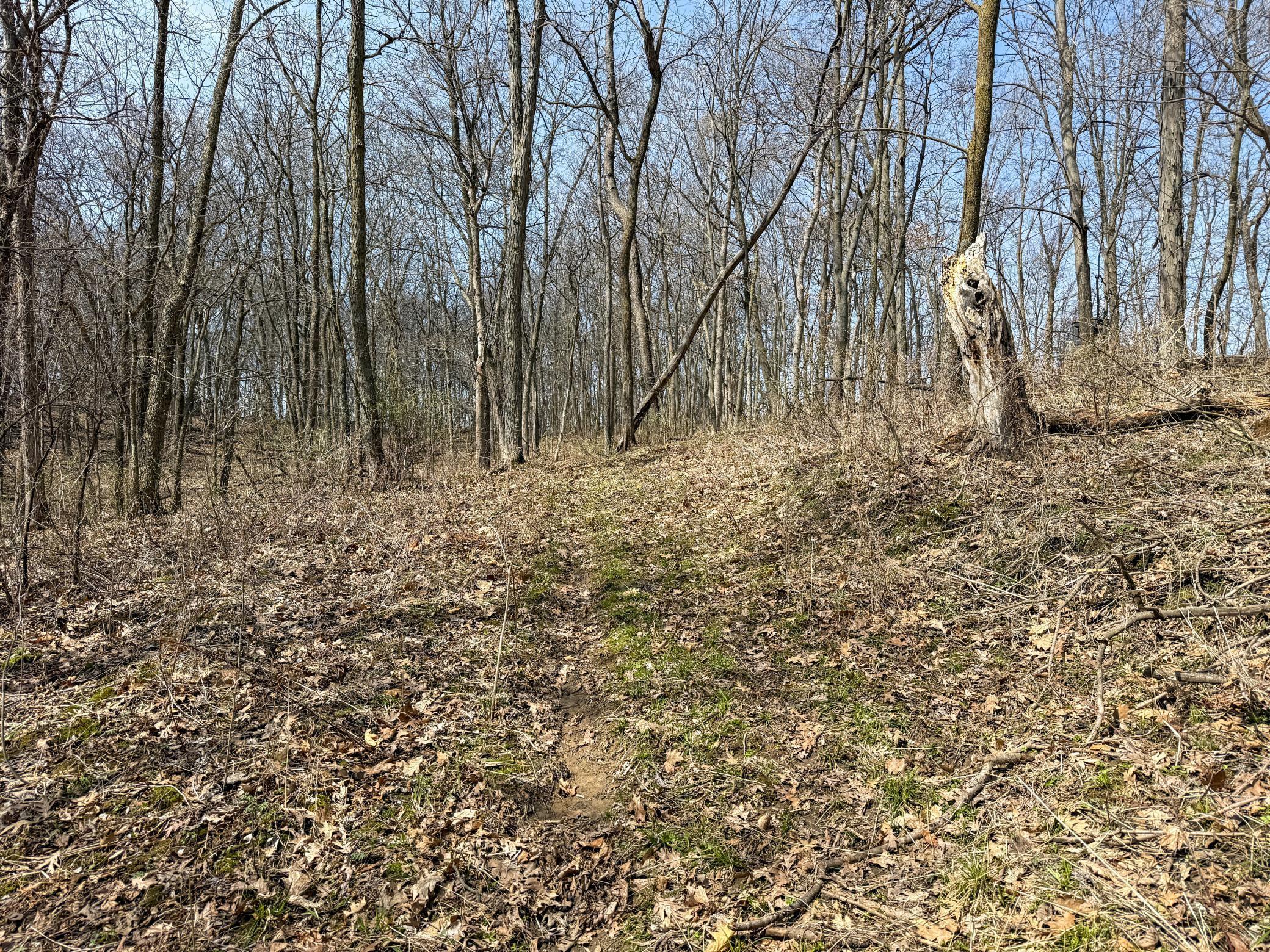 14230 Hillside Road Brownsville, MN 55919 - Photo 38 of 58