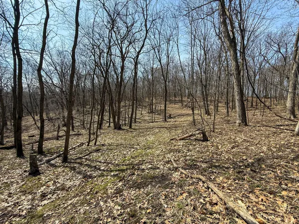 $600,000 | 14230 Hillside Road, Brownsville, MN 55919