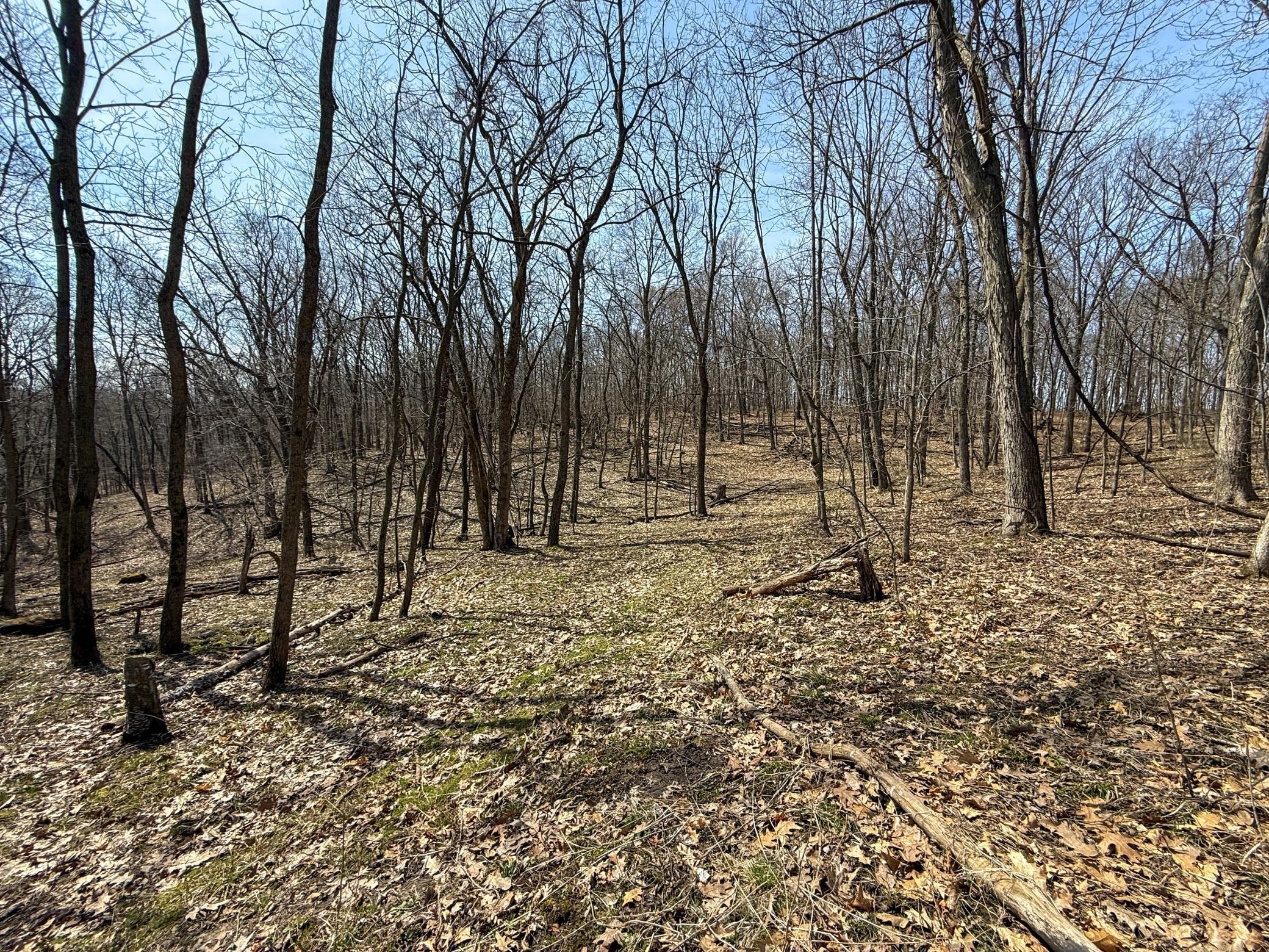 14230 Hillside Road Brownsville, MN 55919 - Photo 40 of 58