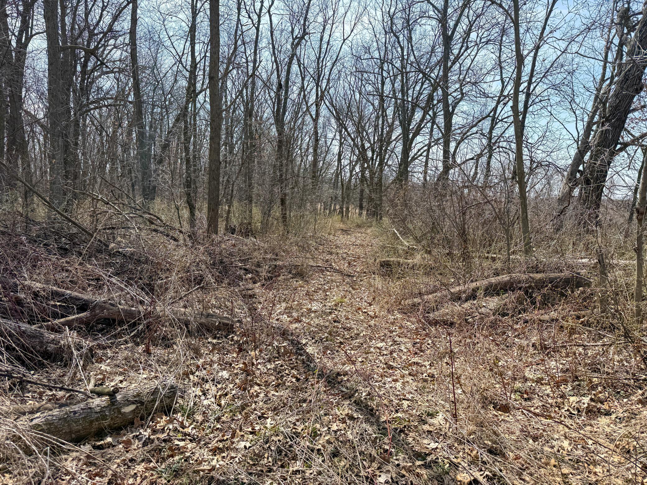 14230 Hillside Road Brownsville, MN 55919 - Photo 41 of 58