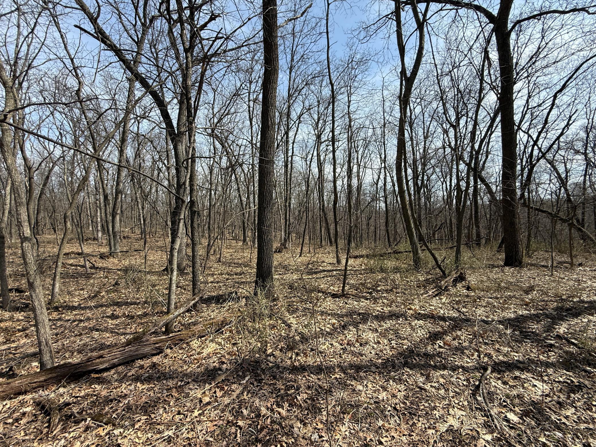 14230 Hillside Road Brownsville, MN 55919 - Photo 42 of 58