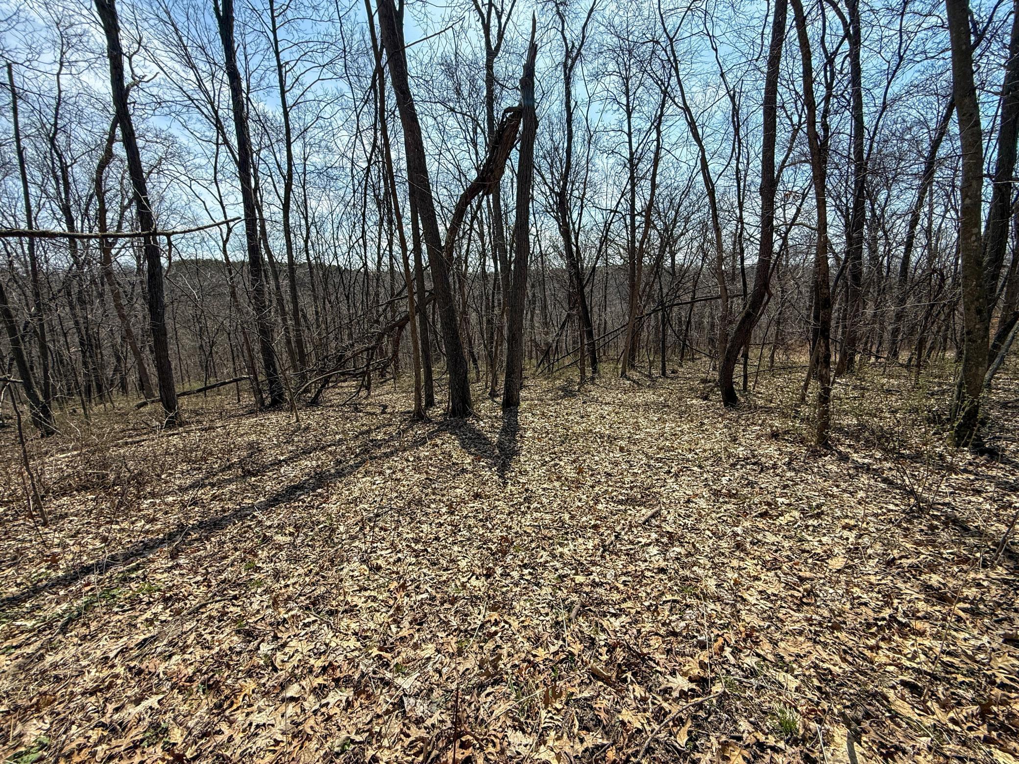 14230 Hillside Road Brownsville, MN 55919 - Photo 43 of 58