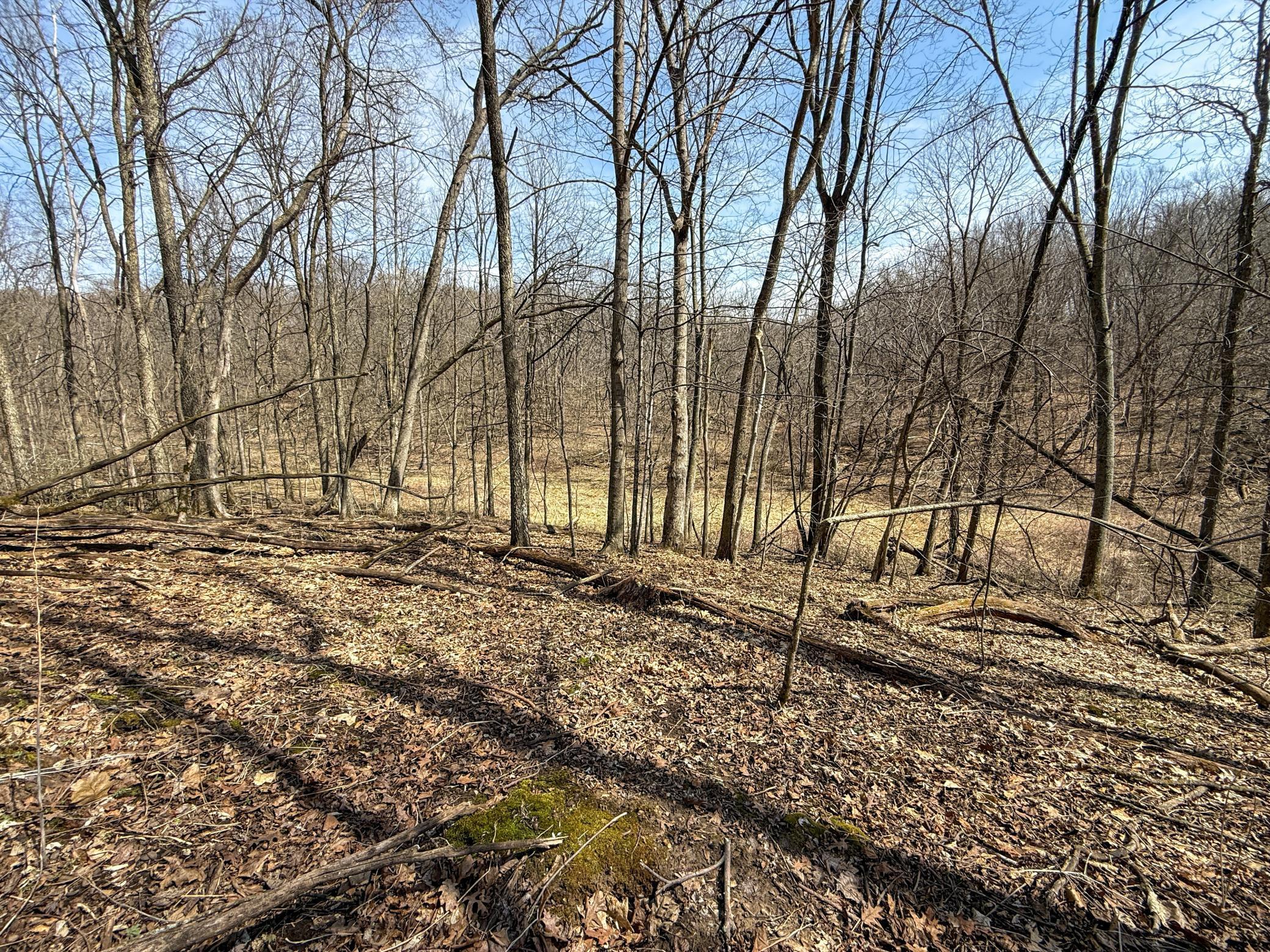 14230 Hillside Road Brownsville, MN 55919 - Photo 44 of 58