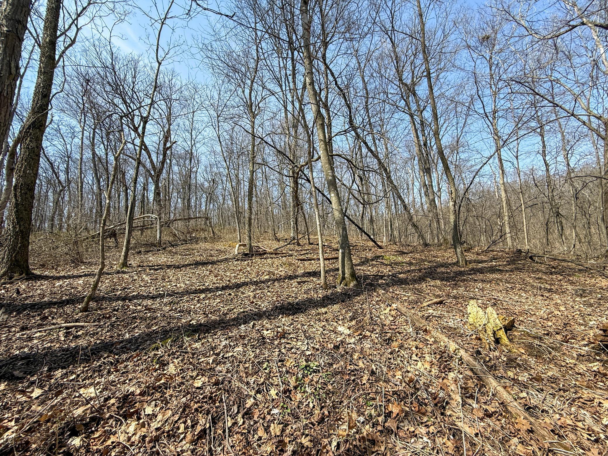 14230 Hillside Road Brownsville, MN 55919 - Photo 45 of 58