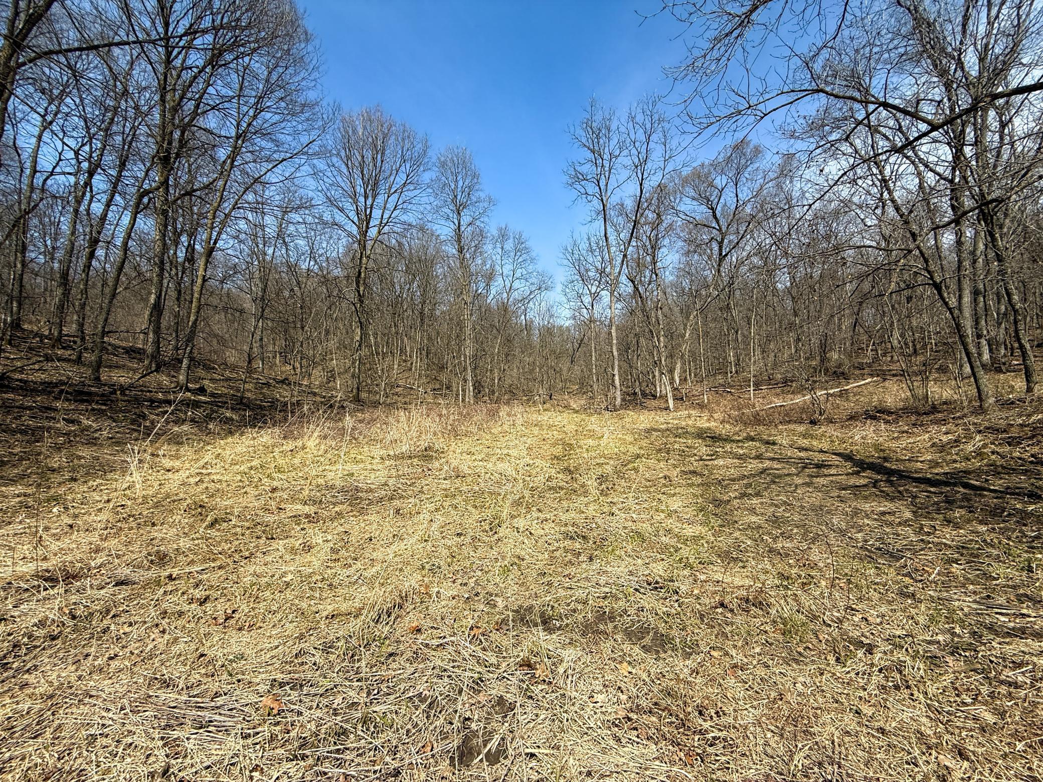 14230 Hillside Road Brownsville, MN 55919 - Photo 46 of 58