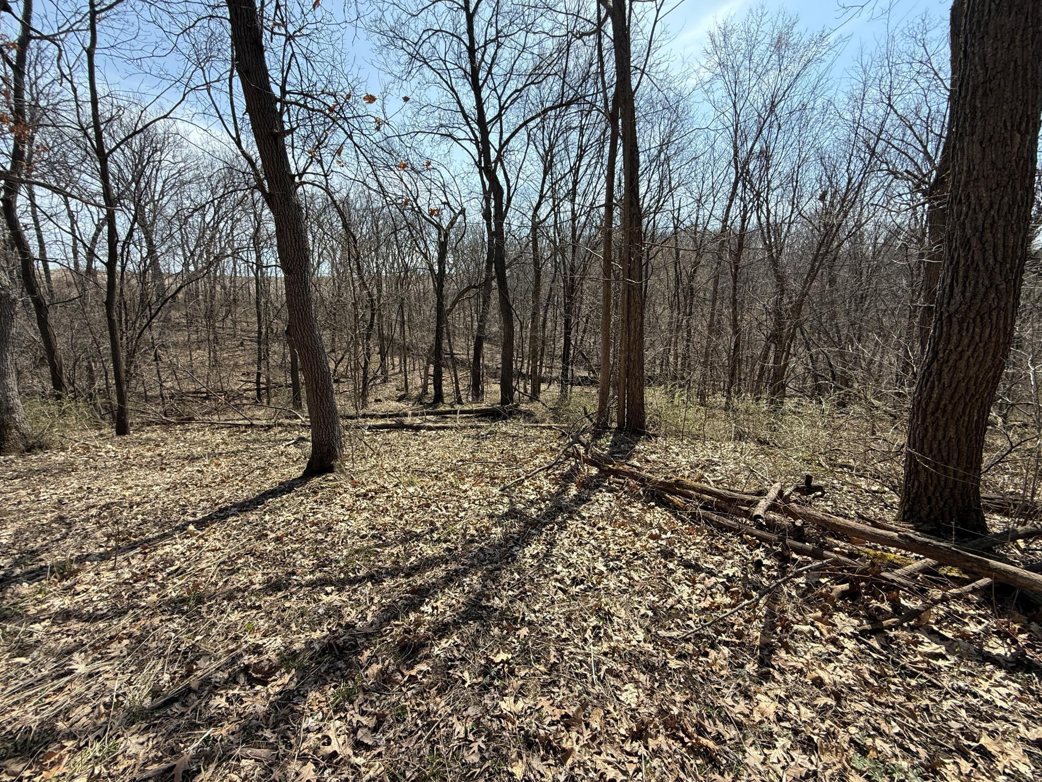 14230 Hillside Road Brownsville, MN 55919 - Photo 47 of 58